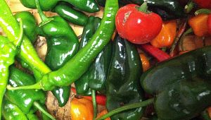 Assorted Heirloom and Self-Propagating Hot and Sweet Peppers