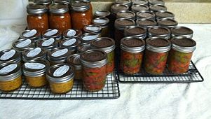 Habanero paste, pickled hot peppers, & tomato sauce