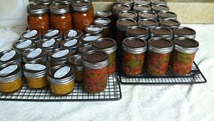 Habanero paste, pickled hot peppers, & tomato sauce