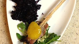 Sugar cane skewered wild pig over bed of arugula w cilantro vinaigrette, mango/scotch bonnet coulis and black rice.